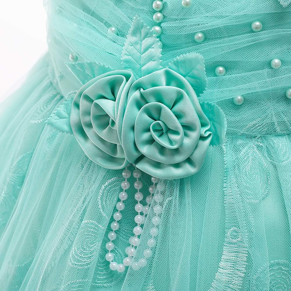 Girls Dress Party Dress for Girls Knee Length Cute Priness Dress Christmas Holiday Dress